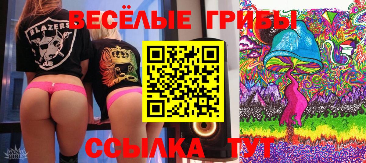 Псилоцибиновые грибы мицелий  Псилоцибиновые грибы прущие грибы  Вход с VPN  Омск 
