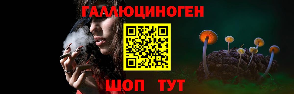 Псилоцибиновые грибы GOLDEN TEACHER Омск